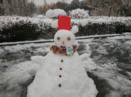 2018年1月5日公司举办堆雪人比赛